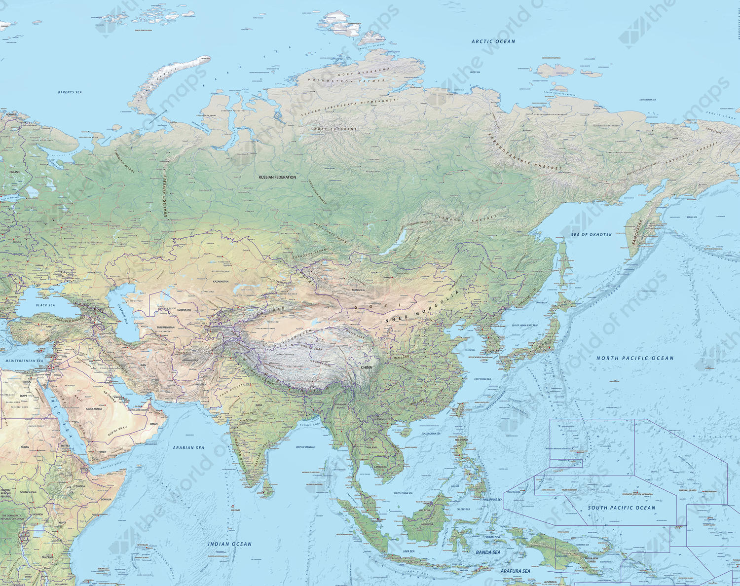 Digital Map Asia Physical 637 | The World of Maps.com